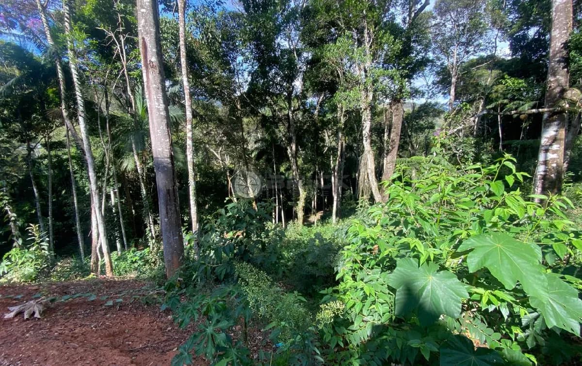 Terreno à venda, 910 m² na Prata - Teresópolis/RJ.