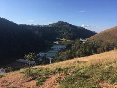 Terreno em Bonsucesso (TE0021)