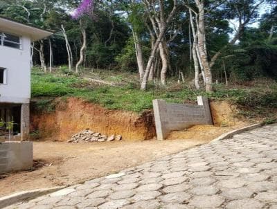 Terreno em Prata (TE0040)