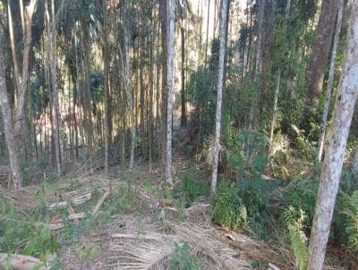 Terreno em Prata Quinta De Santo Antonio (TE0045)