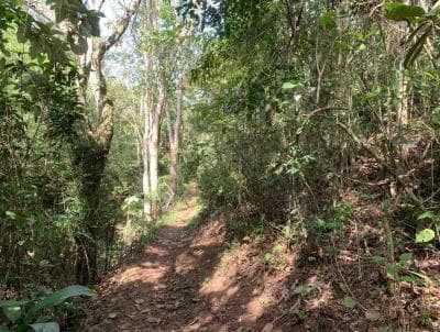 Terreno em Quebra Frascos (TE0047)