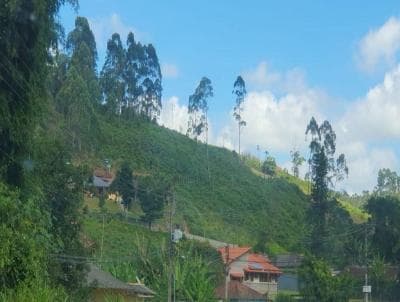 Terreno em Vieira (TE0051)