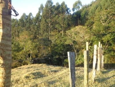 Terreno em Albuquerque Gaura Mandir (TE0053)