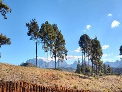 Terreno em Vale Feliz Golden Green (TE0056)