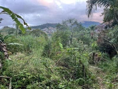 Terreno em Quinta Da Barra (TE0059)